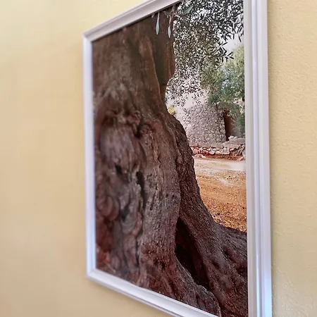 Отель Costa Doro - 4*