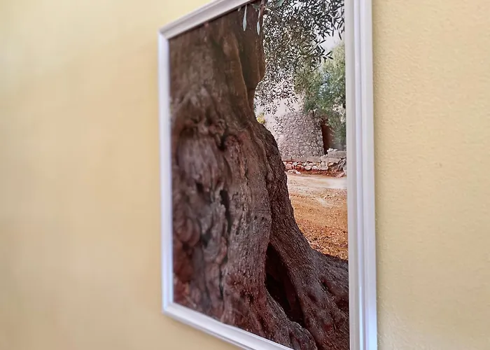 Отель Costa Doro - 4*